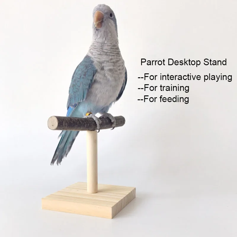 Desk Setup Wood - ธรรมชาติขาตั้งสก์ท็อปสัตว์เลี้ยง Parrot ไม้ดิบส้อมต้นไม้สาขา Stand Rack กระรอกนกหนูแฮมสเตอร์สาขา