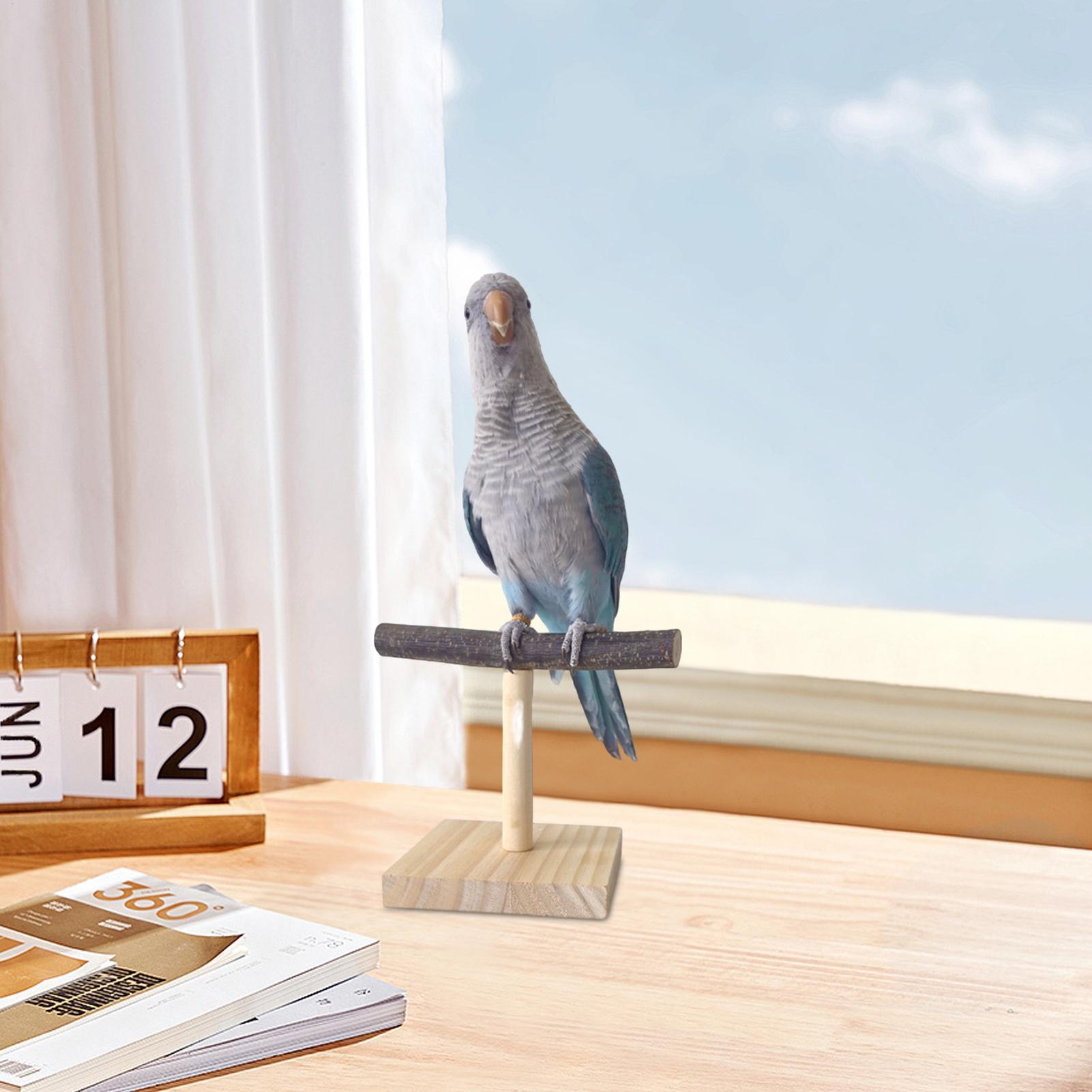 แท่นนั่งนกแก้วไม้ธรรมชาติ รูปต - Desk Setup Wood บทวิจารณ์และราคา