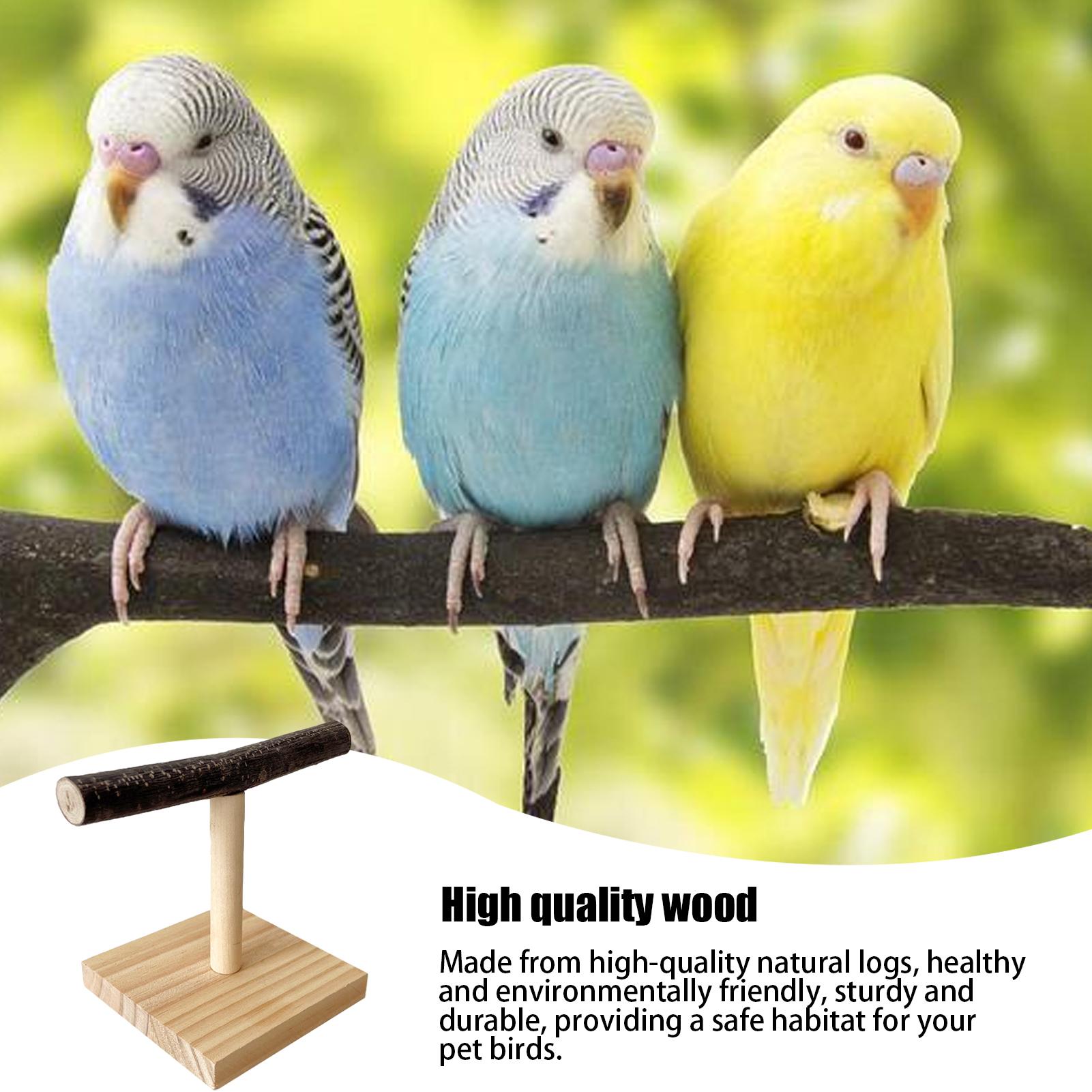 แท่นนั่งนกแก้วไม้ธรรมชาติ รูปต - Desk Setup Wood บทวิจารณ์และราคา